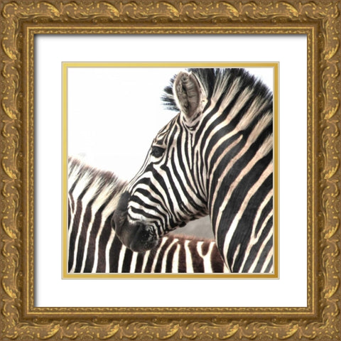Sarari Zebra V Gold Ornate Wood Framed Art Print with Double Matting by Underdahl, Dana