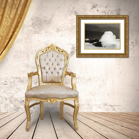 Sea Fan Gold Ornate Wood Framed Art Print with Double Matting by Geyman, Vitaly