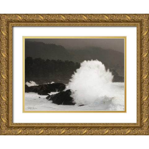 Sea Fan Gold Ornate Wood Framed Art Print with Double Matting by Geyman, Vitaly