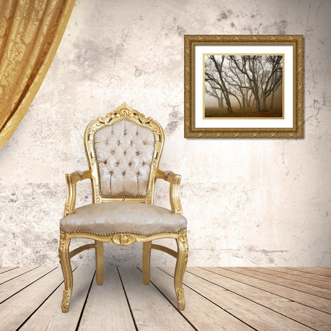 Misty Oaks I Gold Ornate Wood Framed Art Print with Double Matting by Geyman, Vitaly