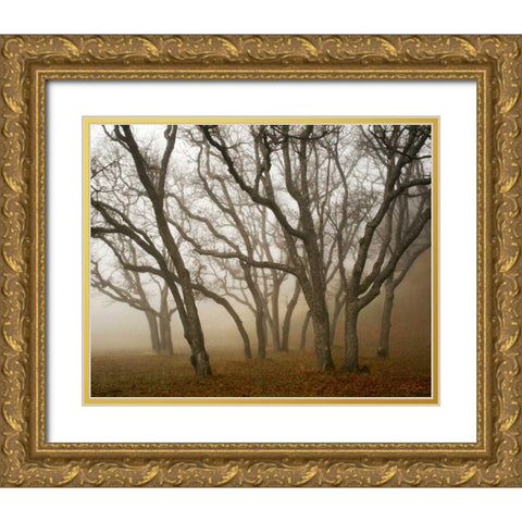 Misty Oaks I Gold Ornate Wood Framed Art Print with Double Matting by Geyman, Vitaly