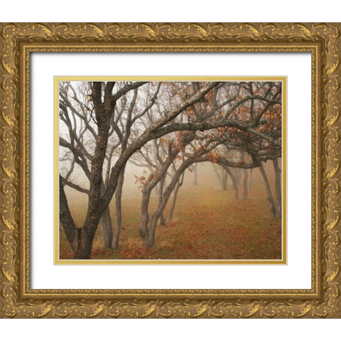 Misty Oaks II Gold Ornate Wood Framed Art Print with Double Matting by Geyman, Vitaly