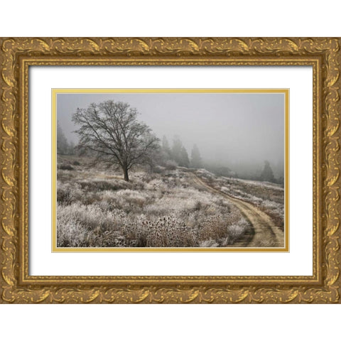 Winter Serenity Gold Ornate Wood Framed Art Print with Double Matting by Geyman, Vitaly