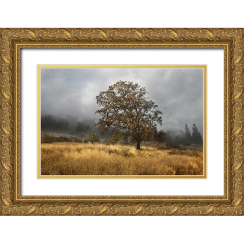 Field of Gold Gold Ornate Wood Framed Art Print with Double Matting by Geyman, Vitaly