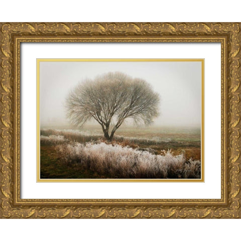 Tranquility I Gold Ornate Wood Framed Art Print with Double Matting by Geyman, Vitaly
