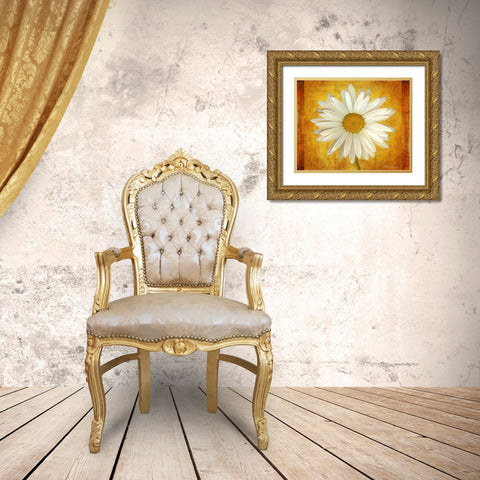 Daisy in Gold Gold Ornate Wood Framed Art Print with Double Matting by Geyman, Vitaly