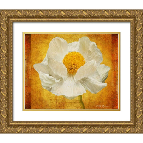 Poppy in Gold Gold Ornate Wood Framed Art Print with Double Matting by Geyman, Vitaly