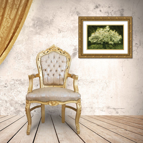 White Cherry Tree II Gold Ornate Wood Framed Art Print with Double Matting by Geyman, Vitaly