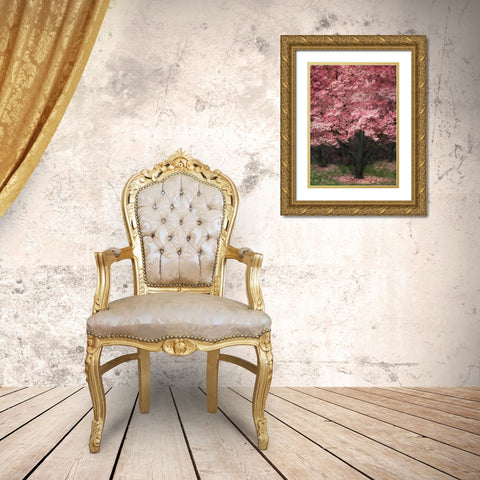 Pink Dogwood III Gold Ornate Wood Framed Art Print with Double Matting by Geyman, Vitaly