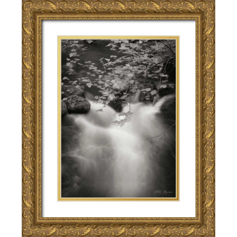 Flowing Waters III Gold Ornate Wood Framed Art Print with Double Matting by Geyman, Vitaly