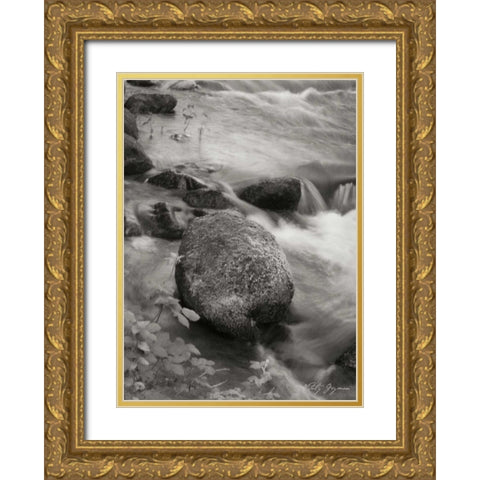 Flowing Waters VI Gold Ornate Wood Framed Art Print with Double Matting by Geyman, Vitaly