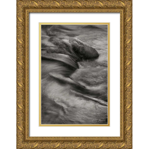 Flowing Waters VIII Gold Ornate Wood Framed Art Print with Double Matting by Geyman, Vitaly