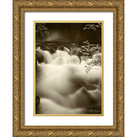 Sepia Waters I Gold Ornate Wood Framed Art Print with Double Matting by Geyman, Vitaly