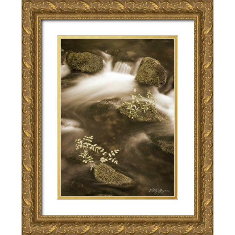 Sepia Waters II Gold Ornate Wood Framed Art Print with Double Matting by Geyman, Vitaly