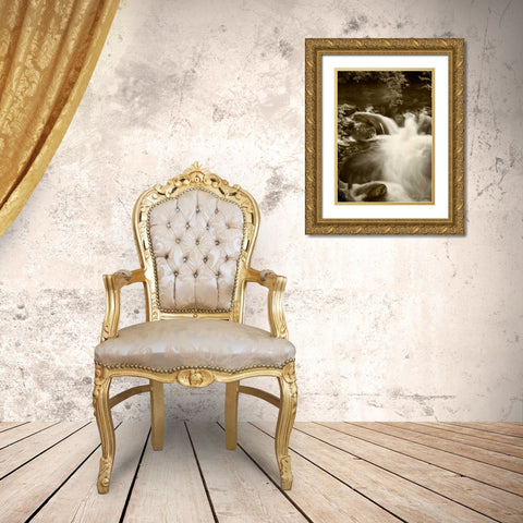 Sepia Waters III Gold Ornate Wood Framed Art Print with Double Matting by Geyman, Vitaly