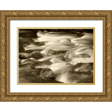 Sepia Waters V Gold Ornate Wood Framed Art Print with Double Matting by Geyman, Vitaly