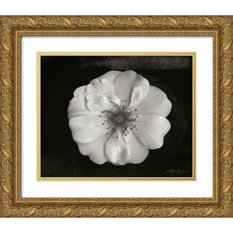 Classic Beauty Gold Ornate Wood Framed Art Print with Double Matting by Geyman, Vitaly