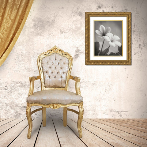 Plumeria II Gold Ornate Wood Framed Art Print with Double Matting by Geyman, Vitaly