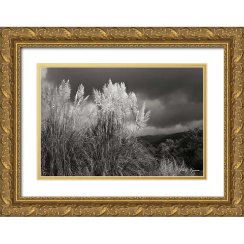 White Towers I BandW Gold Ornate Wood Framed Art Print with Double Matting by Geyman, Vitaly