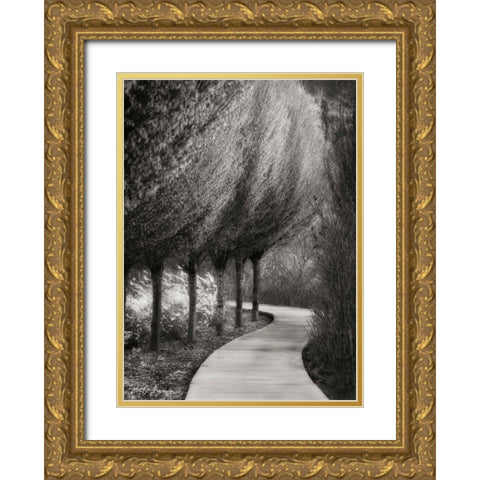 Evening Glow I BandW Gold Ornate Wood Framed Art Print with Double Matting by Geyman, Vitaly