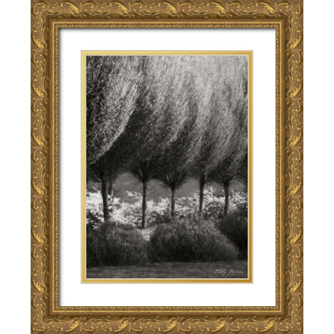 Evening Glow II BandW Gold Ornate Wood Framed Art Print with Double Matting by Geyman, Vitaly