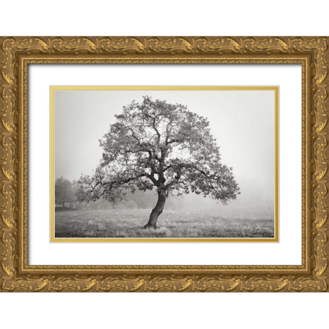 Burning Oak III BandW Gold Ornate Wood Framed Art Print with Double Matting by Geyman, Vitaly