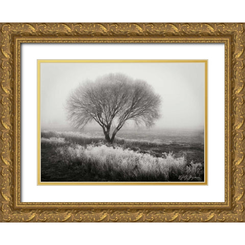 Tranquility I BandW Gold Ornate Wood Framed Art Print with Double Matting by Geyman, Vitaly