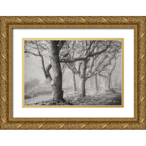 Tree in the Mist BandW Gold Ornate Wood Framed Art Print with Double Matting by Geyman, Vitaly