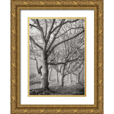 Tree in the Mist V BandW Gold Ornate Wood Framed Art Print with Double Matting by Geyman, Vitaly