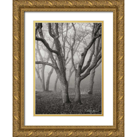 Misty Dance II BandW Gold Ornate Wood Framed Art Print with Double Matting by Geyman, Vitaly