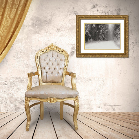 Winter Pine Tree Paradise BandW Gold Ornate Wood Framed Art Print with Double Matting by Geyman, Vitaly