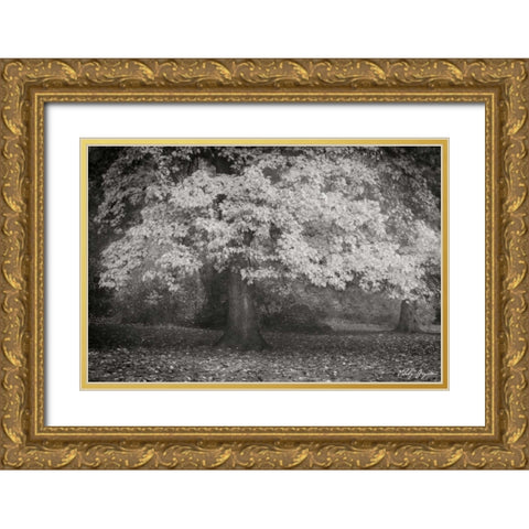 Autumn In Paris BandW Gold Ornate Wood Framed Art Print with Double Matting by Geyman, Vitaly