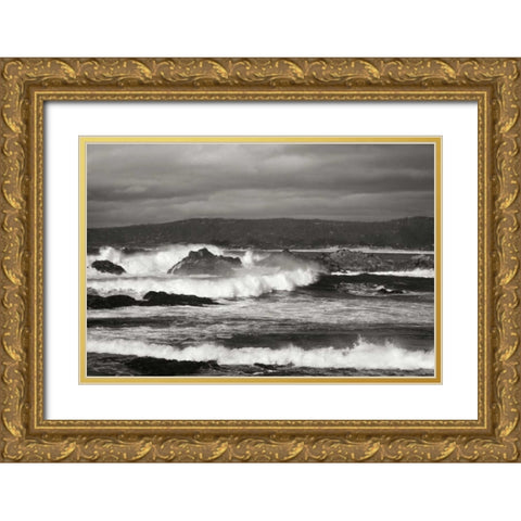 Ocean Fury II Gold Ornate Wood Framed Art Print with Double Matting by Geyman, Vitaly