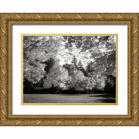 Fall Maple Fever V BandW Gold Ornate Wood Framed Art Print with Double Matting by Geyman, Vitaly