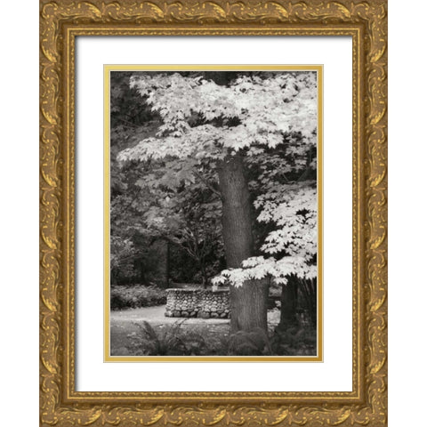 Fall Maple Fever XI BandW Gold Ornate Wood Framed Art Print with Double Matting by Geyman, Vitaly