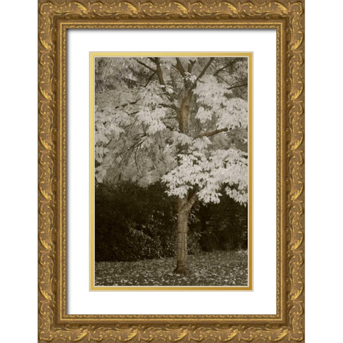 Fall Maple Fever VII Gold Ornate Wood Framed Art Print with Double Matting by Geyman, Vitaly