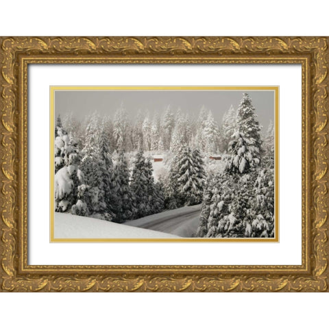 Mt. Ashland Rd Gold Ornate Wood Framed Art Print with Double Matting by Geyman, Vitaly