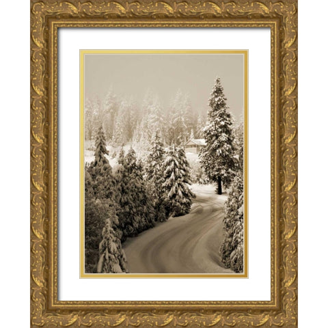 Mt. Ashland Rd II Gold Ornate Wood Framed Art Print with Double Matting by Geyman, Vitaly