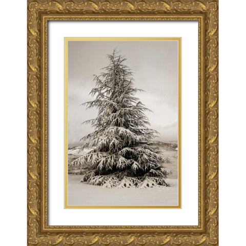 Snow White Pine Gold Ornate Wood Framed Art Print with Double Matting by Geyman, Vitaly