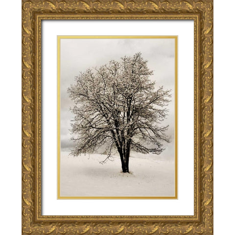 Snow White Tree Gold Ornate Wood Framed Art Print with Double Matting by Geyman, Vitaly