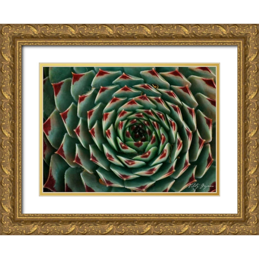 Perspective Image