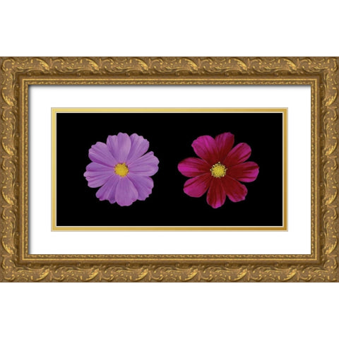 Cosmos Flower Duet Gold Ornate Wood Framed Art Print with Double Matting by Geyman, Vitaly