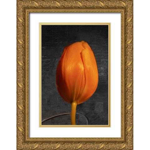Tulip Letter II Gold Ornate Wood Framed Art Print with Double Matting by Geyman, Vitaly