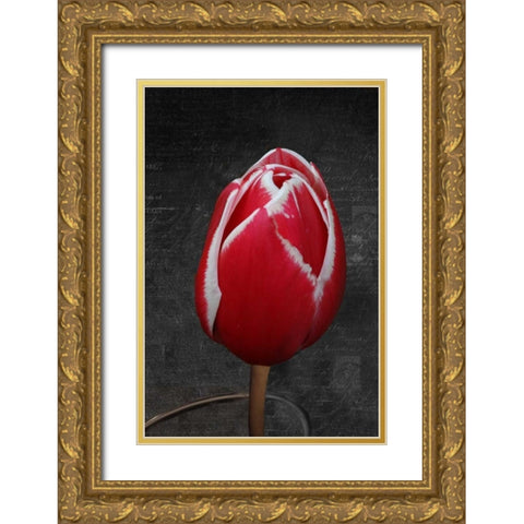 Tulip Letter III Gold Ornate Wood Framed Art Print with Double Matting by Geyman, Vitaly