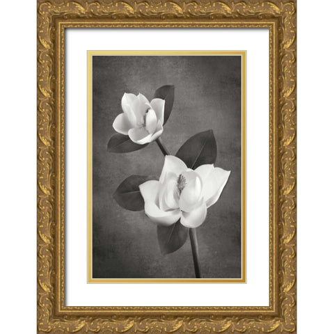 Magnolia Duet II BandW Gold Ornate Wood Framed Art Print with Double Matting by Geyman, Vitaly
