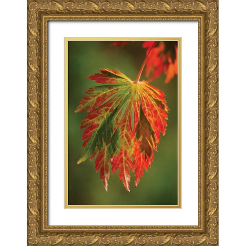 Autumn Leaf Paradise I Gold Ornate Wood Framed Art Print with Double Matting by Geyman, Vitaly