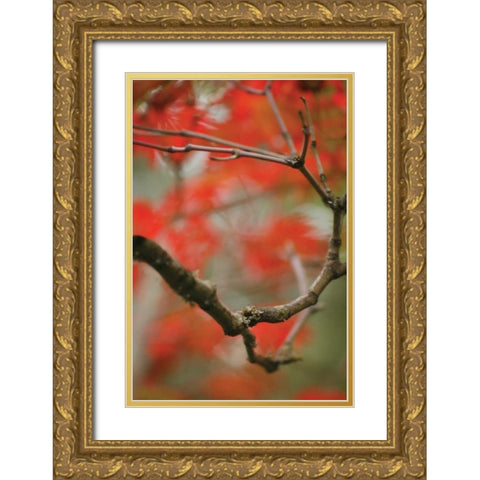 Autumn Tree Dance I Gold Ornate Wood Framed Art Print with Double Matting by Geyman, Vitaly