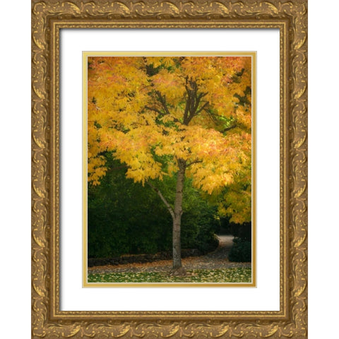 Fall Maple Fever VI Gold Ornate Wood Framed Art Print with Double Matting by Geyman, Vitaly