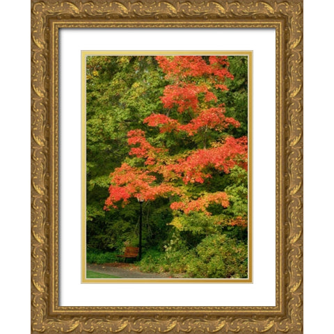 Fall Maple Fever VIII Gold Ornate Wood Framed Art Print with Double Matting by Geyman, Vitaly