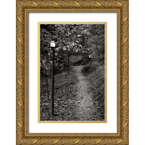 Autumn Path I BandW Gold Ornate Wood Framed Art Print with Double Matting by Geyman, Vitaly